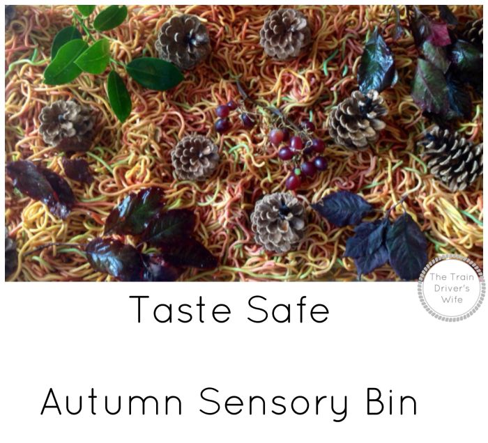 Taste safe autumn fall sensory bin